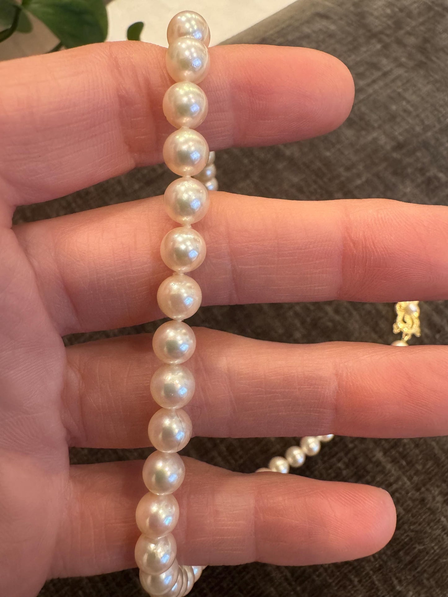 Mikimoto Cream Pearl Necklace: 18k Gold Clasp, 16" Estate Jewelry