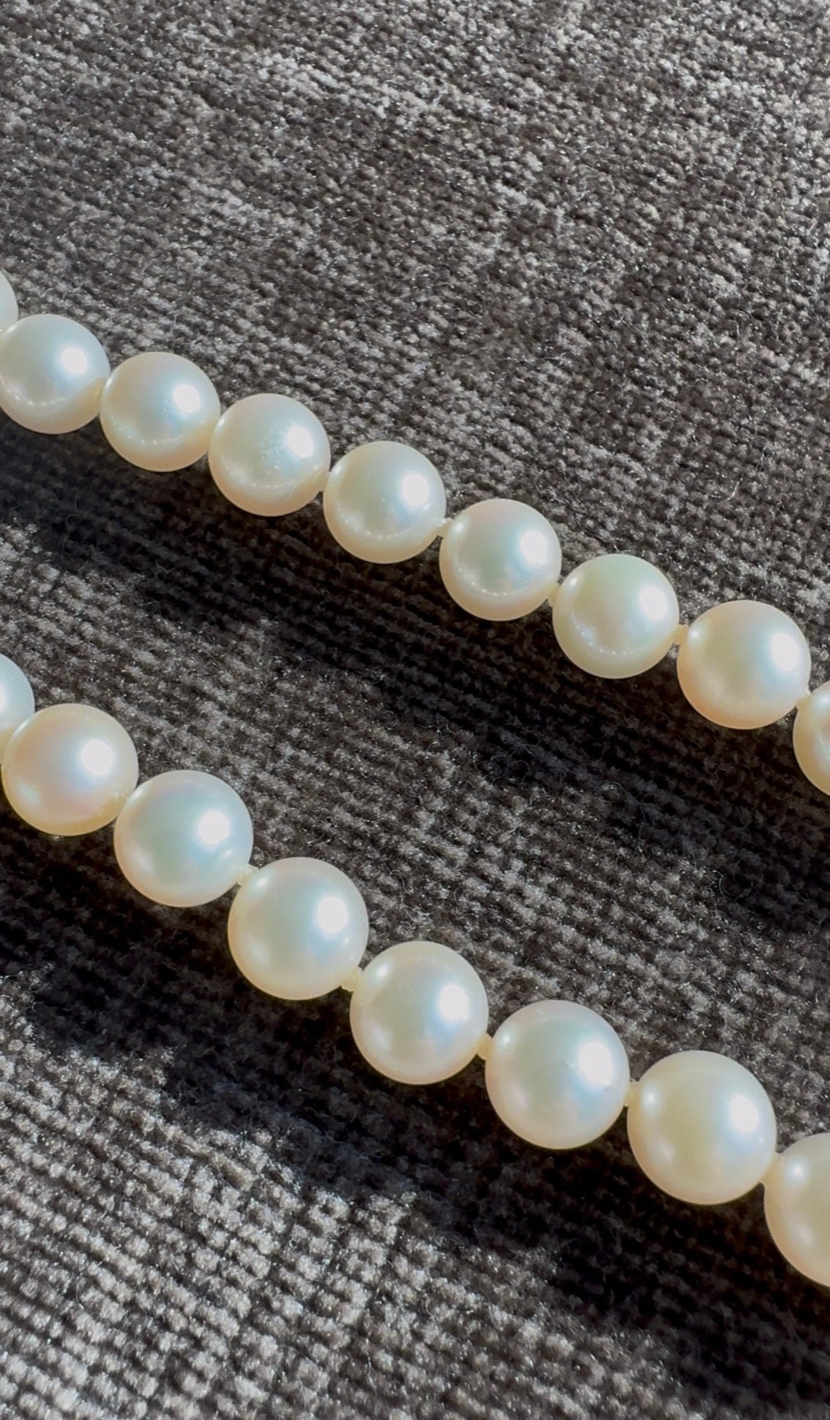 Mikimoto 18k Yellow Gold Clasp 31" 7mm to 7.5mm Akoya Pearl Strand Necklace 54g